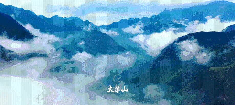 跳跃的木偶